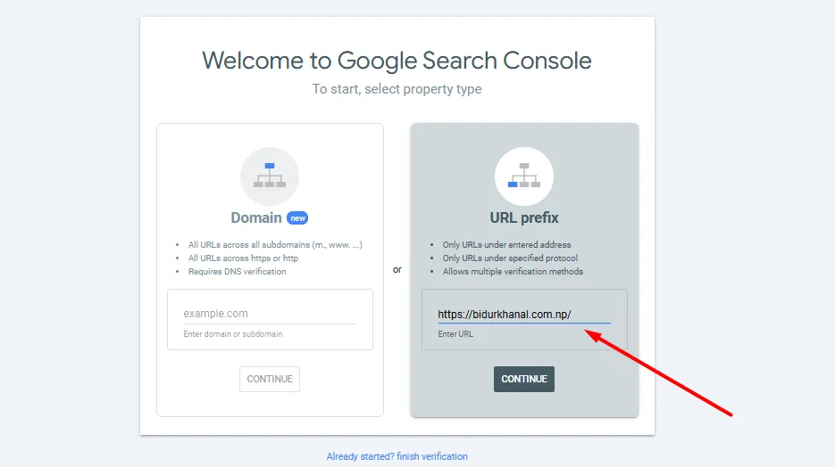 enter website url under url prefix